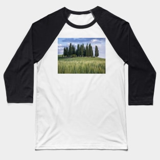 Group of cypress trees in Tuscan landscape Baseball T-Shirt